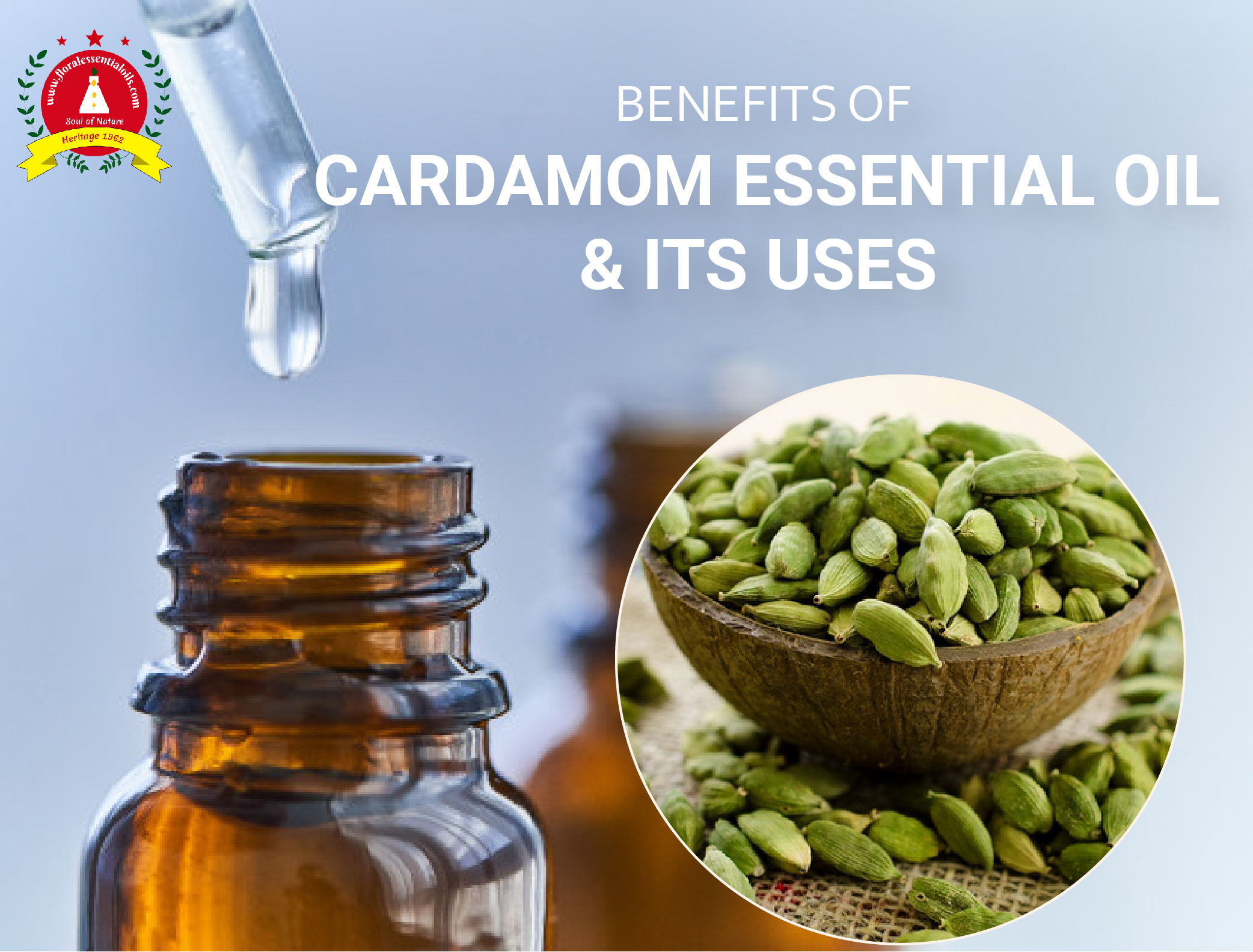 Benefits of Cardamom Essential Oil and It's Uses | Kush Aroma Exports