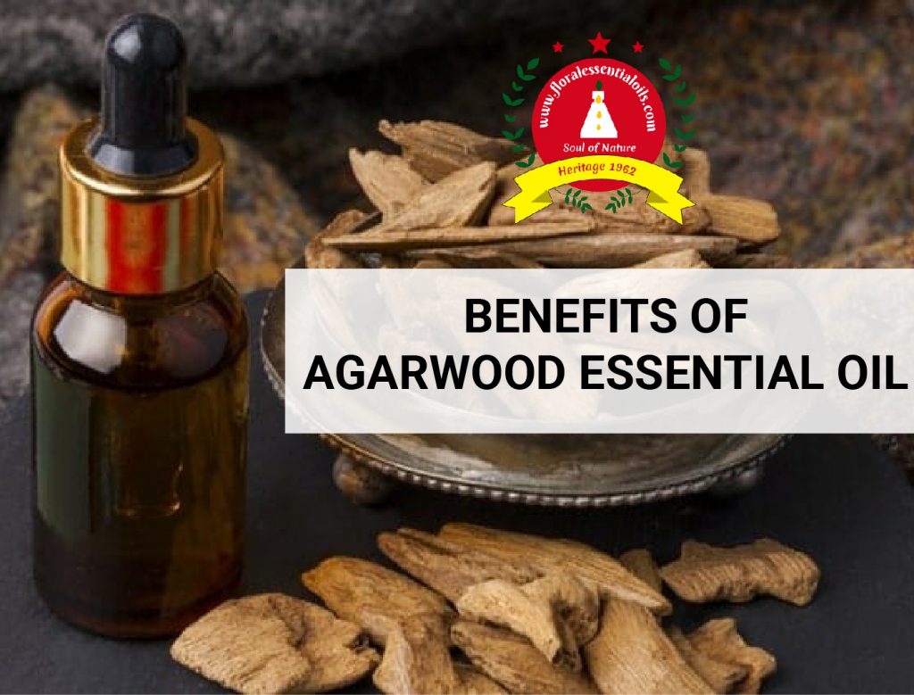 Benefits of Agarwood Essential Oil Uses of Agarwood Oil