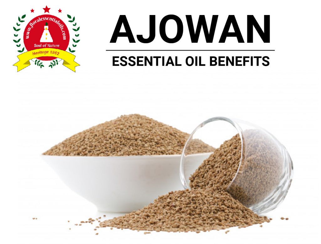 Benefits of Ajowan Essential Oil & Its Uses Floral Essential Oil