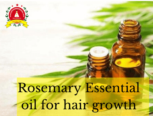 Rosemary Essential Oil for Hair | Rosemary Oil Benefits for Hair