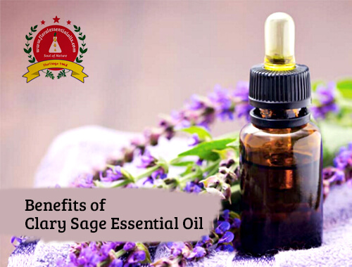 benefits of clary sage essential oil