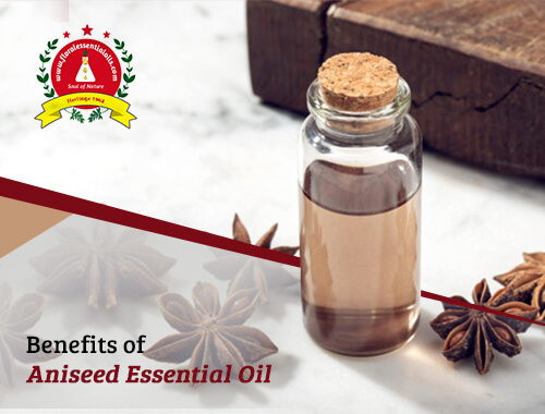 benefits of Aniseed essential oil