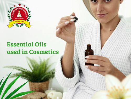 essential oils used in cosmetics