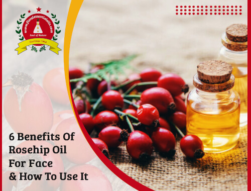 benefits of rosehip oil