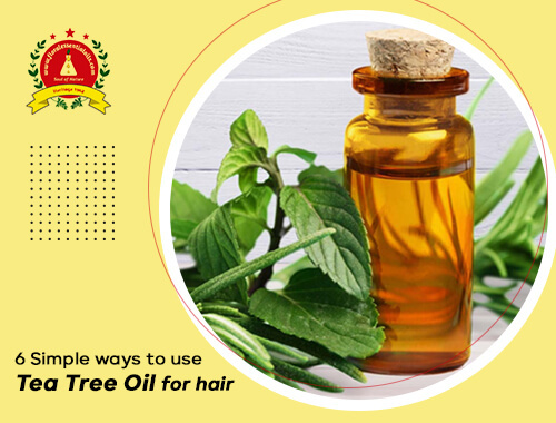 Tea Tree Oil For Hair