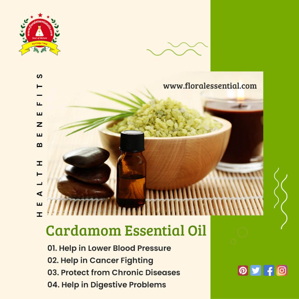 Benefits of Cardamom Essential Oil By Floral Essential Oils