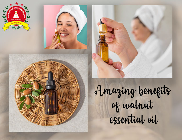 Amazing Benefits of Walnut Essential oil - floralessentialoils blog