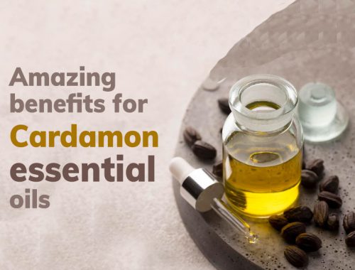 Cardamom essential oil