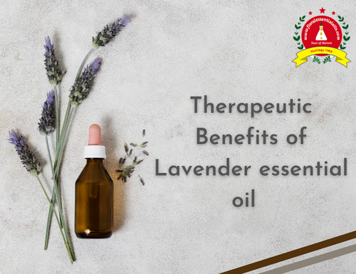 Therapeutic Benefits of Lavendar essential oil