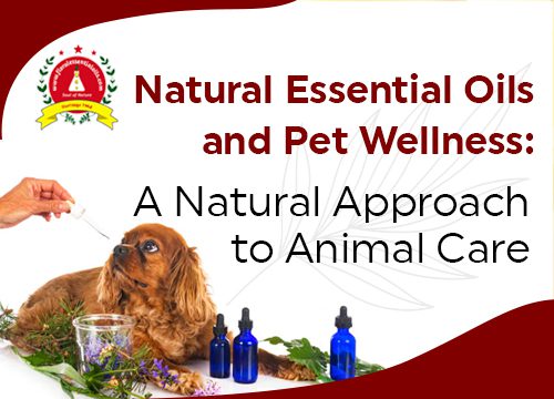 Essential oils for pet