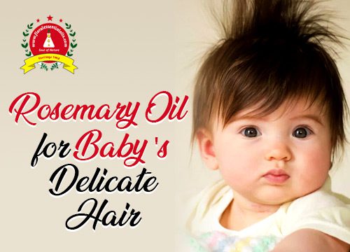 Rosemary Oil for Baby's Delicate Hair