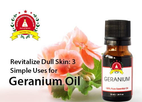 Geranium Oil